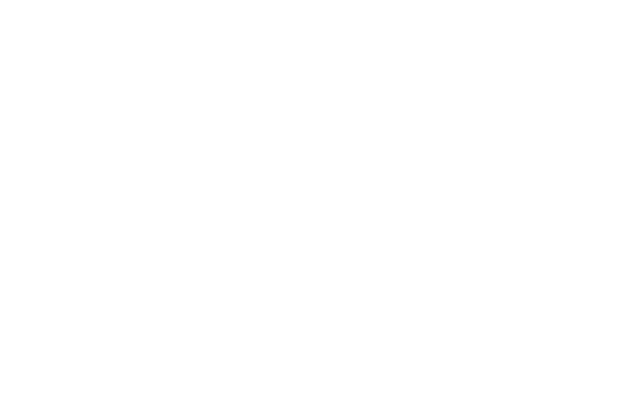 WK Baan Paracycling Partnerlogo Toyota White